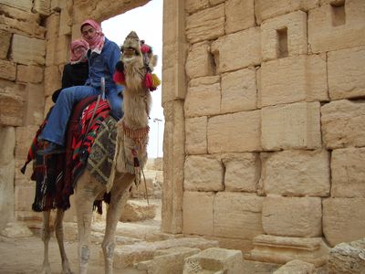 Kamelritt Palmyra