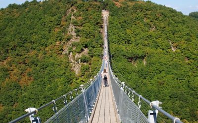 Die Geierlay Hängebrücke im Hunsrück – Öffnungszeiten, Parkmöglichkeiten, Tipps mit Hund