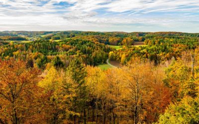 Herbstwanderungen und Herbstspaziergänge in und um Nürnberg