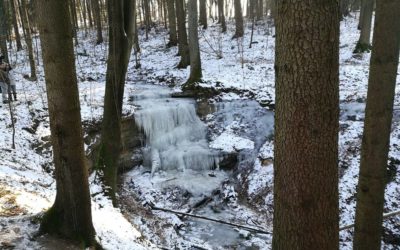 Der Klingende Wasserfall am Moritzberg bei Nürnberg