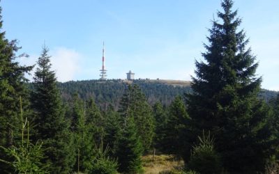 Die 5 schönsten Wanderziele im Harz