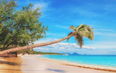 Die schönsten Strände 2021