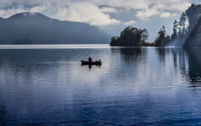 Angeln in Deutschland: Die besten Orte für große Fänge