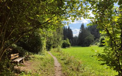 Das Klumpertal mit den Jägersteigen bei Pottenstein
