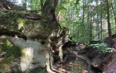 Die Bitterbachschlucht bei Lauf