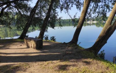 Der Dechsendorfer Weiher – Badespaß auch mit Hund