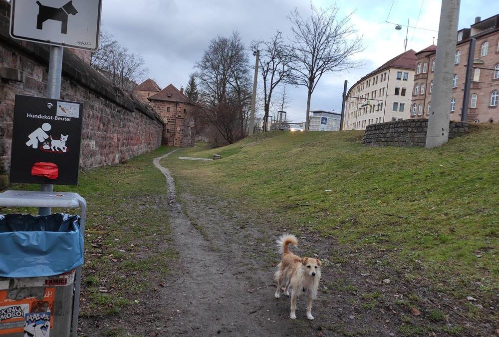 Hundefreilaufzonen in Nürnberg