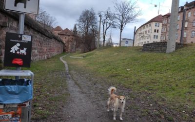 Hundefreilaufzonen in Nürnberg