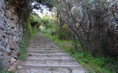 Cinque Terre wandern – wann ist die beste Reisezeit?