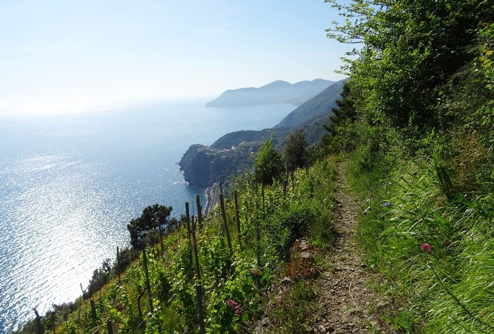 Wandern in Cinque Terre – top oder Flop?