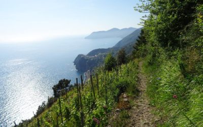 Wandern in Cinque Terre – top oder Flop?