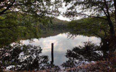 Herthasee mit Herthaburg – ein Kraftort auf Rügen