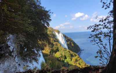 Rügen im Frühling