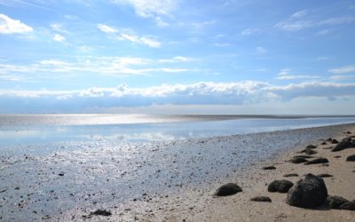 Erholungsurlaub an der Nordsee