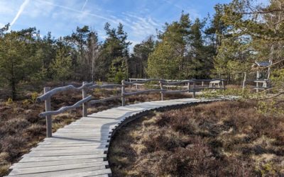Das Schwarze Moor in der Rhön