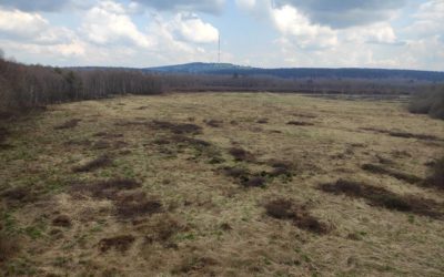 Das Rote Moor in der Rhön