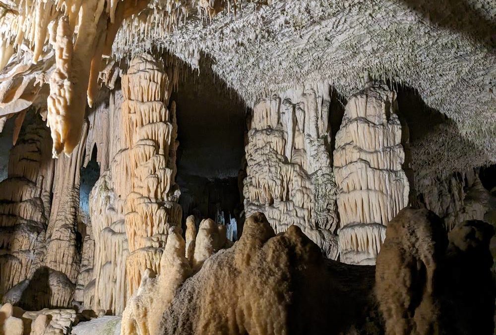 Die Höhlen von Postojna – Preise, Parken, Öffnungszeiten
