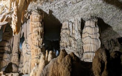 Die Höhlen von Postojna – Preise, Parken, Öffnungszeiten