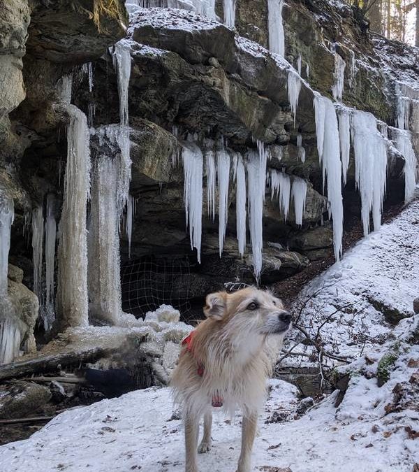 Ausflugsziele im Winter rund um Nürnberg