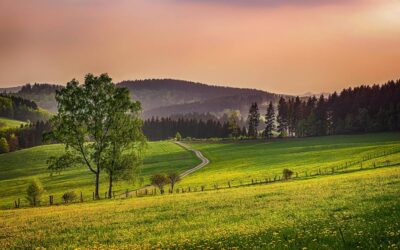 Kraftorte im Sauerland