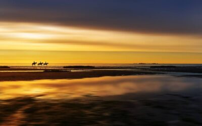 Schamanische Kraftorte in Niedersachsen