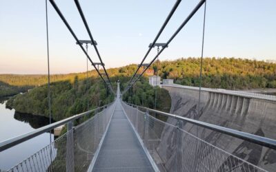 Hängebrücken in Deutschland: Die längsten und spektakulärsten Brücken – inl. Tipps für Hunde